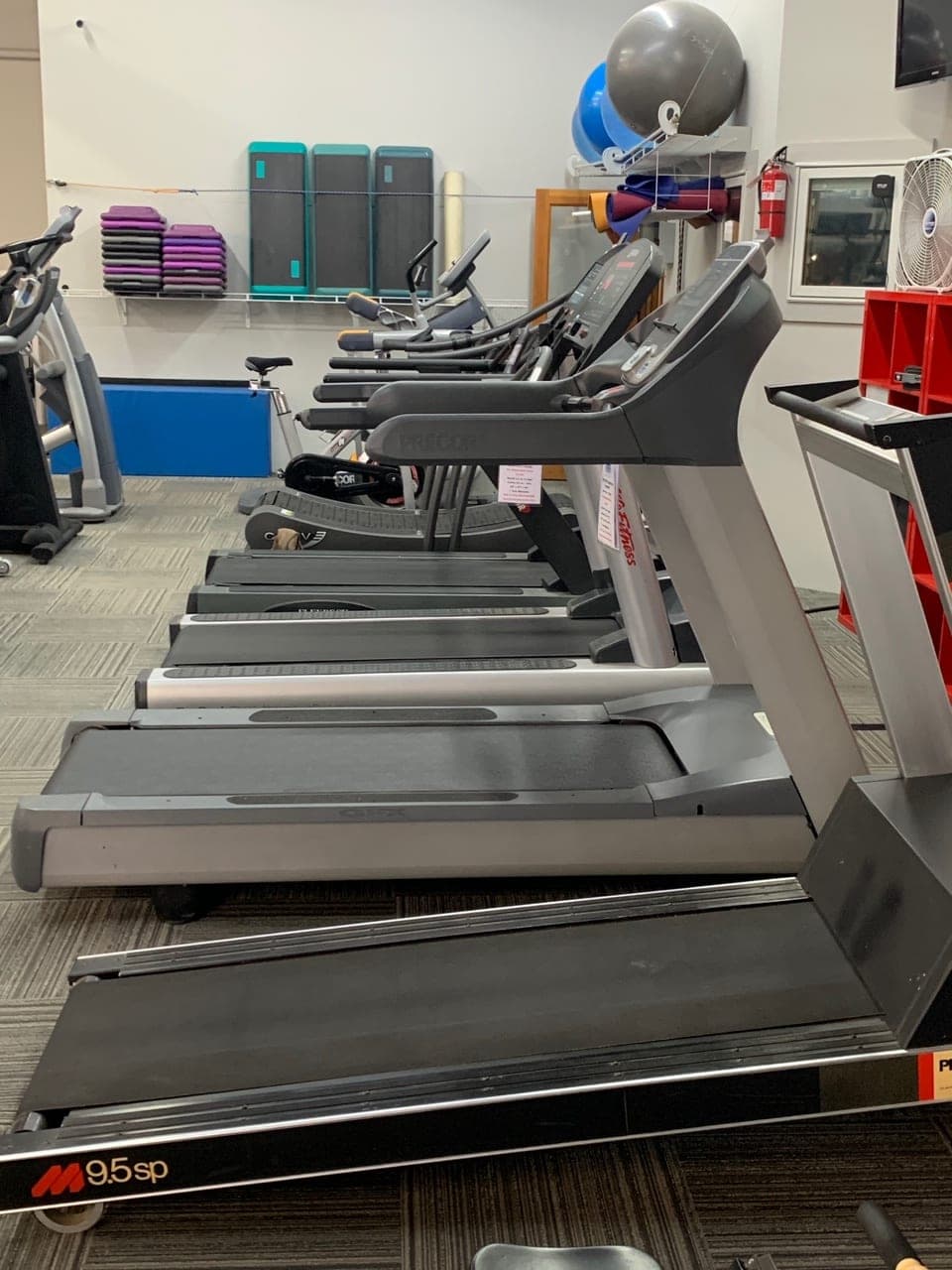CNE's cardio row: treadmills, bikes, and aerobic steps along the mirror wall